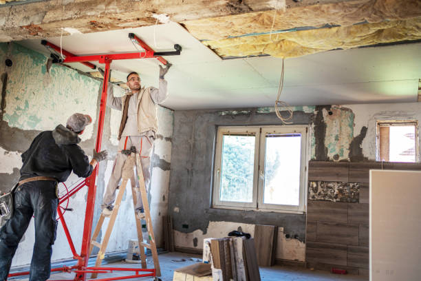 Best Spray Foam Insulation  in Elkins, AR