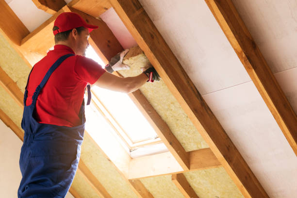 Types of Insulation We Offer in Elkins, AR